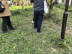 -秋霞圃