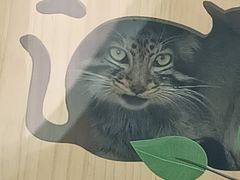 -青藏高原野生动物园