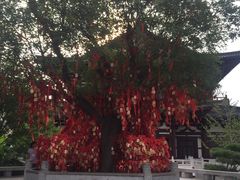 -西安华清御汤酒店