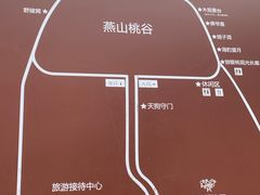 -大岭沟猕猴桃谷风景区