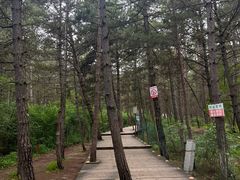 -帽儿山国家森林公园