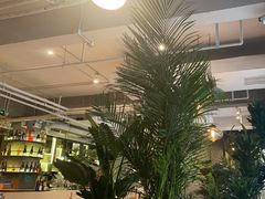 -the rug 飞毯 (朝阳公园店)