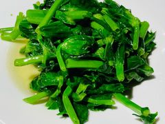清炒大豆苗-HOMES上海本帮菜(襄阳公园店)