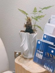 -唯奈斯肌肤管理中心