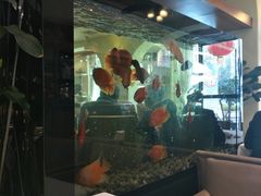 -悦百味·品质川菜(橄榄郡店)