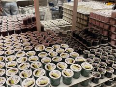 -宜家家居(高新商场店)