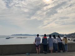 -枸杞岛