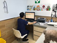 -爱侣宠医·鹦鹉专科·小型哺乳类·异宠专科(灵石路店)