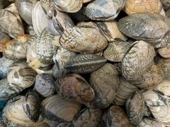 -青石桥市场北1-27号