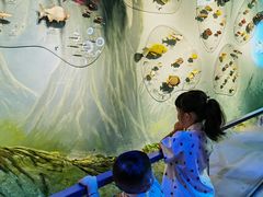 -中国湿地博物馆