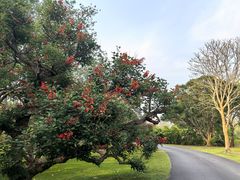 -中国科学院西双版纳热带植物园