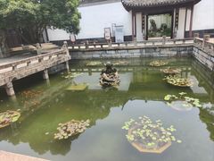 -上海醉白池公园
