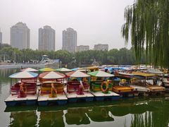 -团结湖公园