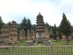 塔林-少林寺景区
