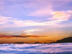 -东白山