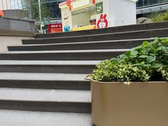 -野鸽子咖啡(中航店)