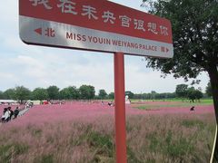 -汉长安城未央宫国家考古遗址公园