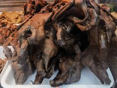 -张鸭子重庆特产卤味小吃(未来国际店)