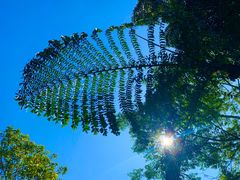 -西双版纳基诺山寨