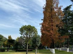 -四川大学(华西校区)