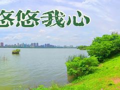 -艾溪湖湿地公园