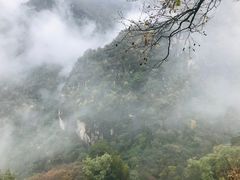 -牛背梁国家森林公园