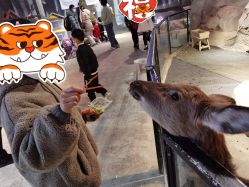 -酷嗒动物文化乐园(cutezoo西溪乐天城店)