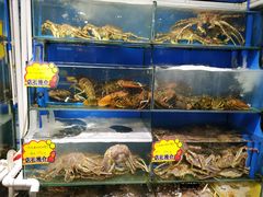 水产区-蚝专家(北滘店)