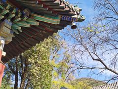 -潭柘寺景区