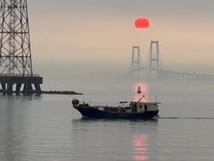 -宝安西湾红树林湿地公园