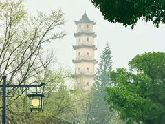 -江心屿景区