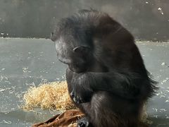 -无锡动物园·太湖欢乐园