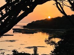 -苏州太湖国家湿地公园