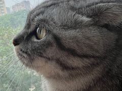-美联众合动物医院·24h京西诊疗中心