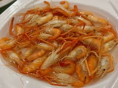 -孔庆璞河豚馆(白玉兰酒店)