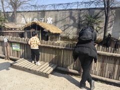 -乌村