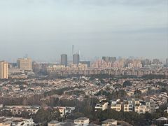 -上海浦东康桥绿地假日酒店