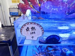 -喜碧海鲜·二十年本土海鲜老字号(上排店)