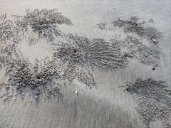 -汕尾风车岛
