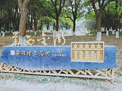 -华西村