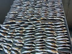 -南沙十九涌渔人码头-南门