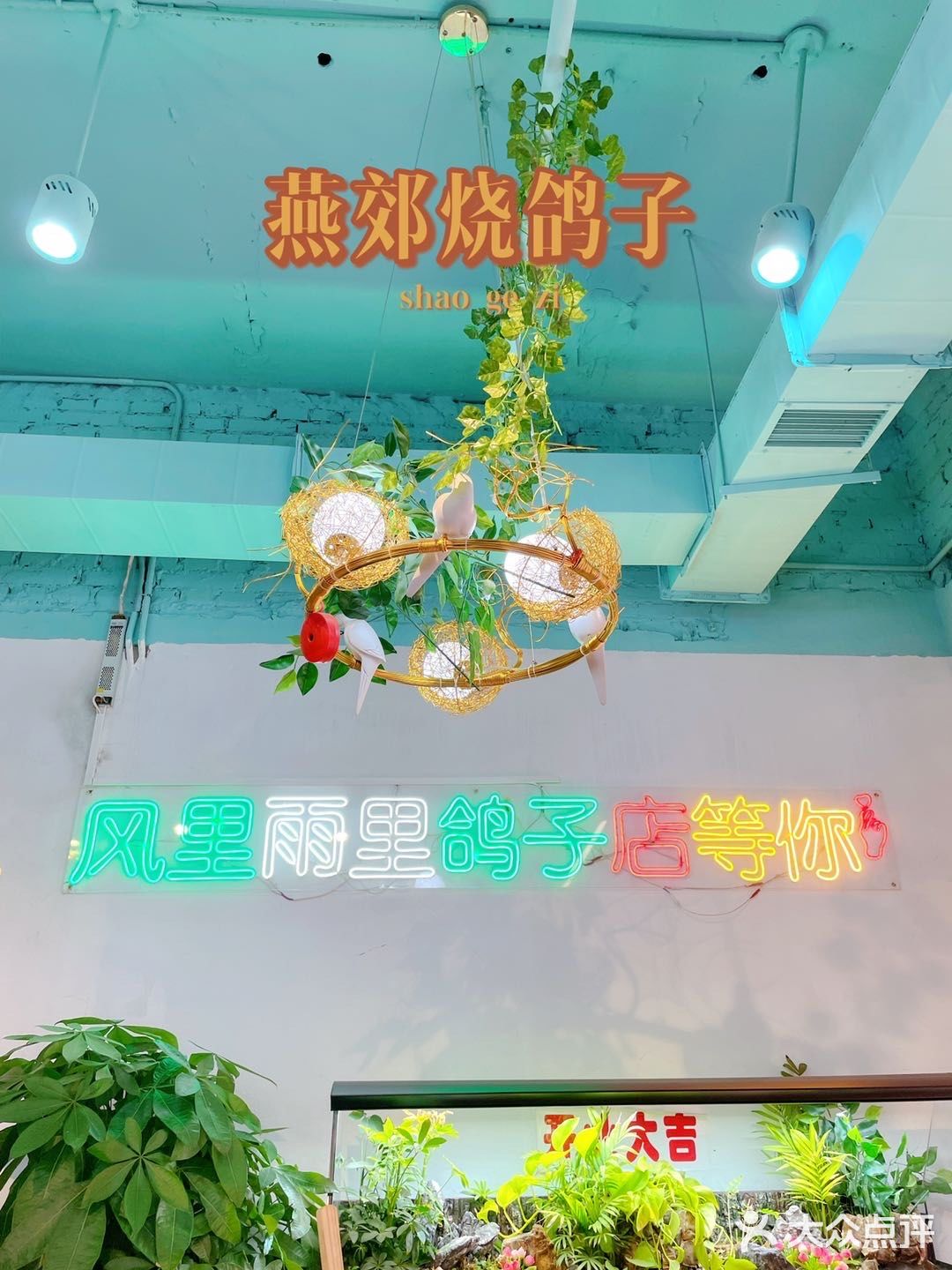 北京有名的烧鸽子，开分店了，劲松的小伙伴有福气了[调皮]