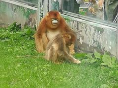 -西安秦岭野生动物园