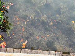 -美兰湖景区