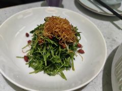 -青花椒花椒鱼(合生汇店)