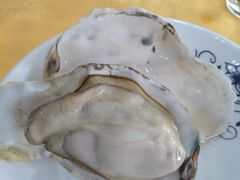 -蚝专家(北滘店)