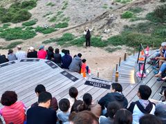 -企鹅岛