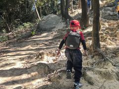 -火炉山森林公园