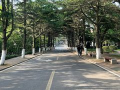 -八大关景区