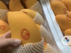 -江杨农产品批发市场